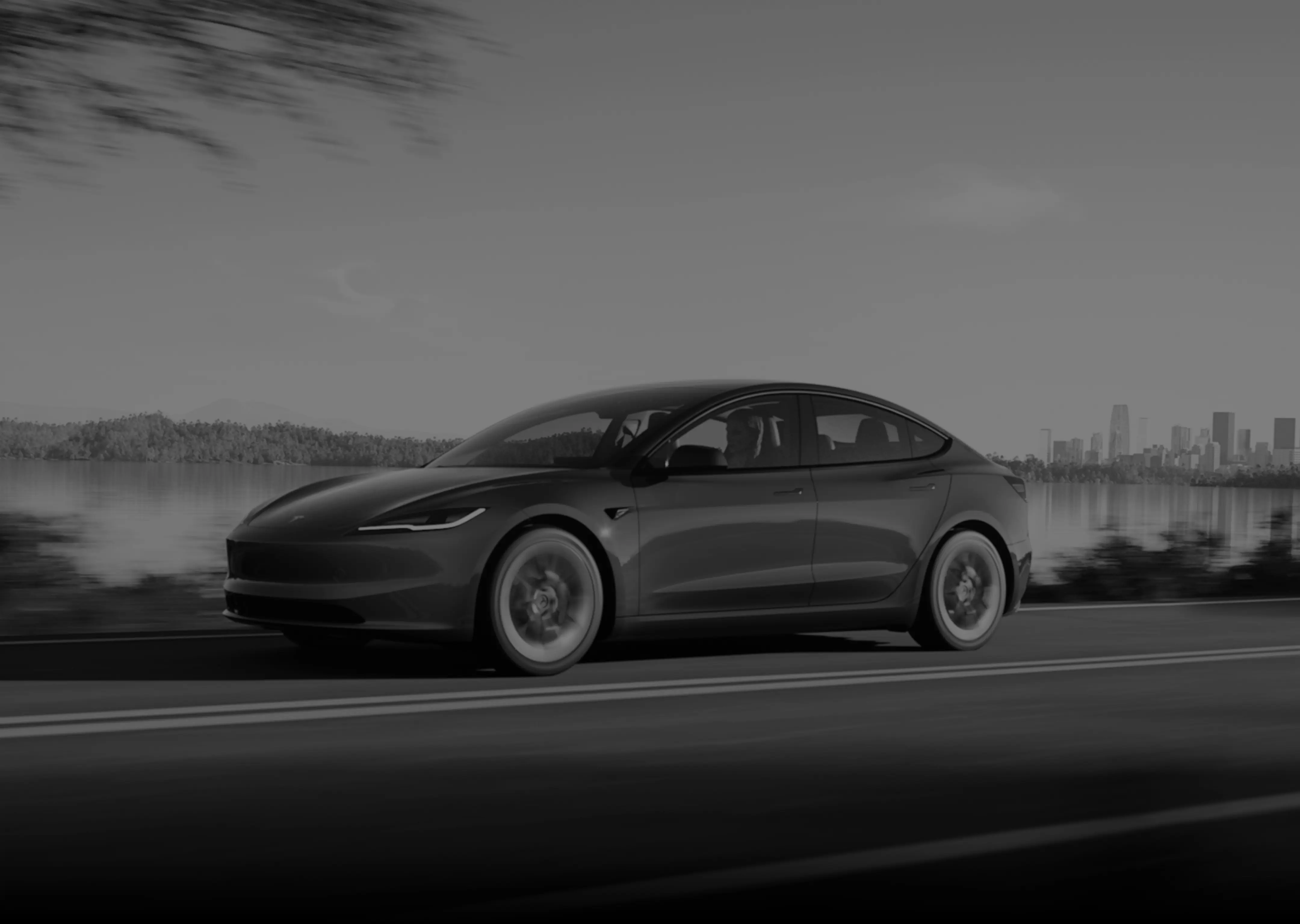 Послуги Tesla